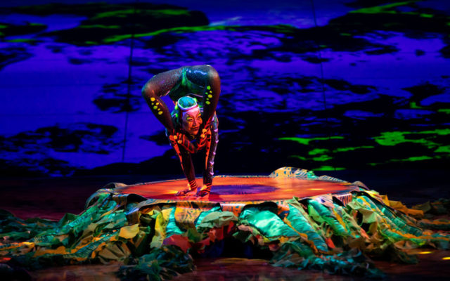Cirque du Soleil Files For Bankruptcy