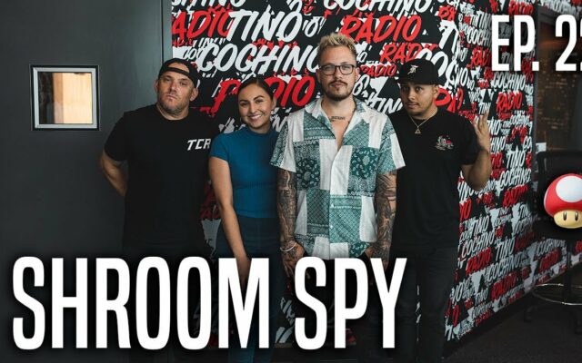 Shroom Spy (Ep228) | The Tino Cochino Radio Podcast
