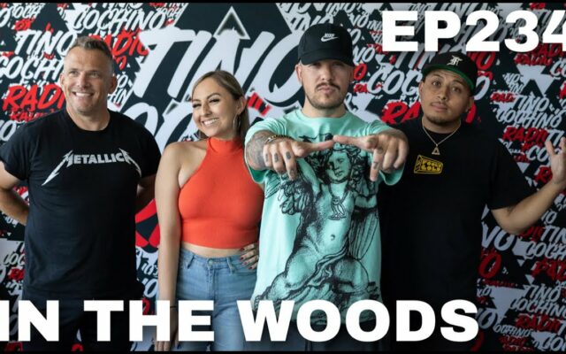 In The Woods (Ep234) | The Tino Cochino Radio Podcast